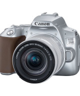 EOS 250D + EF-S 18-55mm f/4-5.6 IS STM Argento