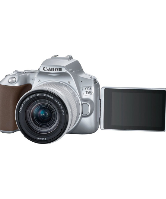 EOS 250D + EF-S 18-55mm f/4-5.6 IS STM Argento