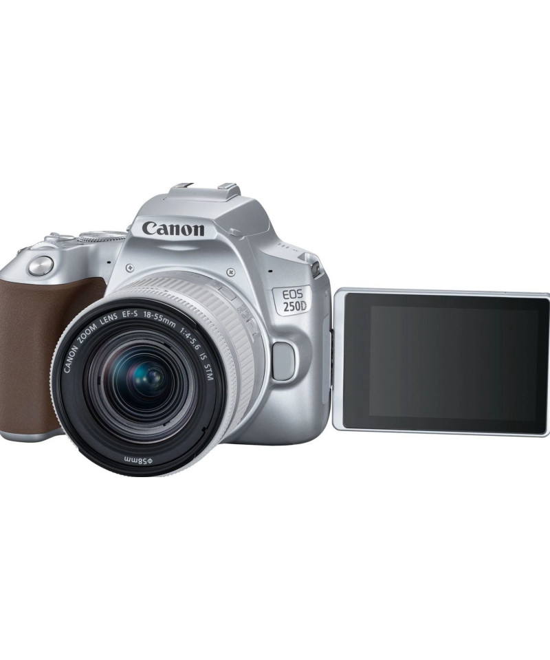 EOS 250D + EF-S 18-55mm f/4-5.6 IS STM Argento