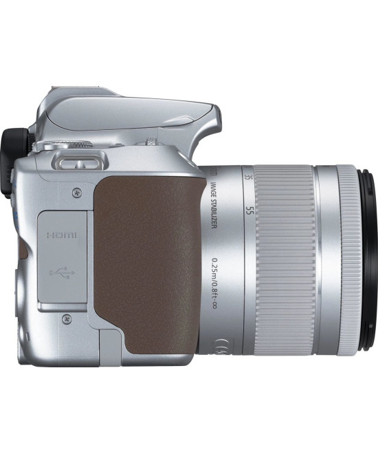 EOS 250D + EF-S 18-55mm f/4-5.6 IS STM Argento