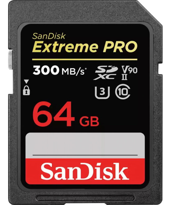 Extreme PRO 64 GB SDXC UHS-II Classe 10 V90 300MB/s