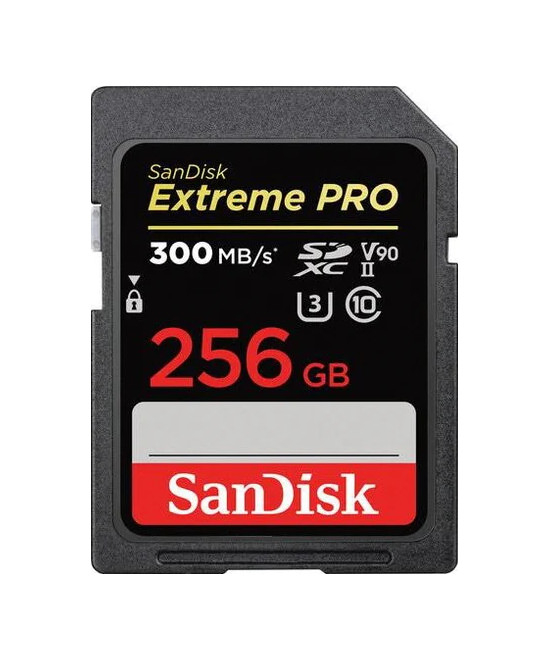 Extreme PRO 256 GB SDXC UHS-II Classe 10