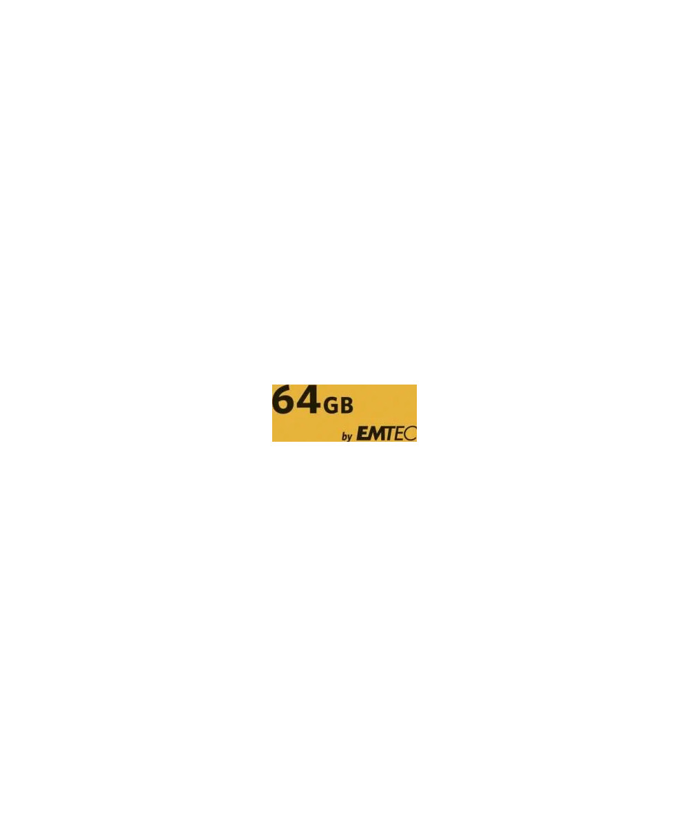 64GB Micro SDXC Classe 10 U3 4K + adattatore