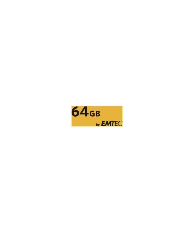 64GB Micro SDXC Classe 10 U3 4K + adattatore