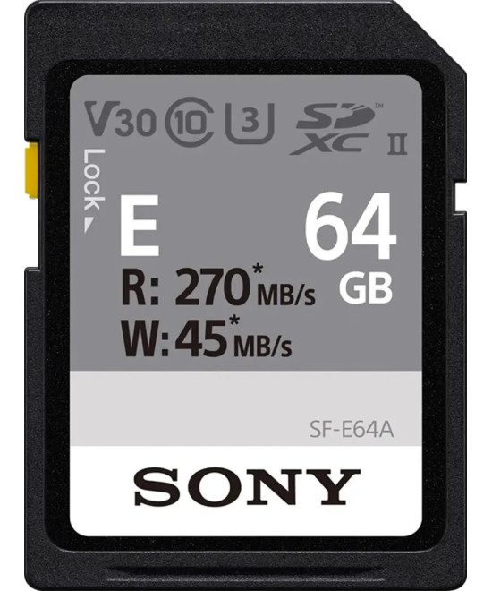 SF-E64A 64 GB SDXC Classe 10