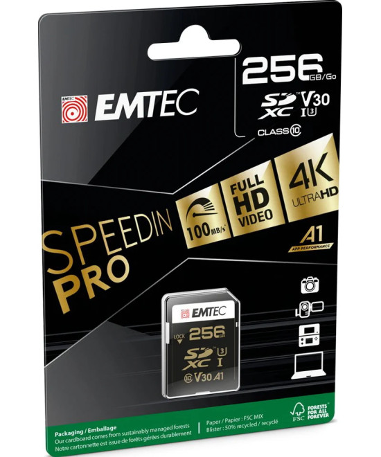 256 GB SDXC UHS-I Classe 10 V30