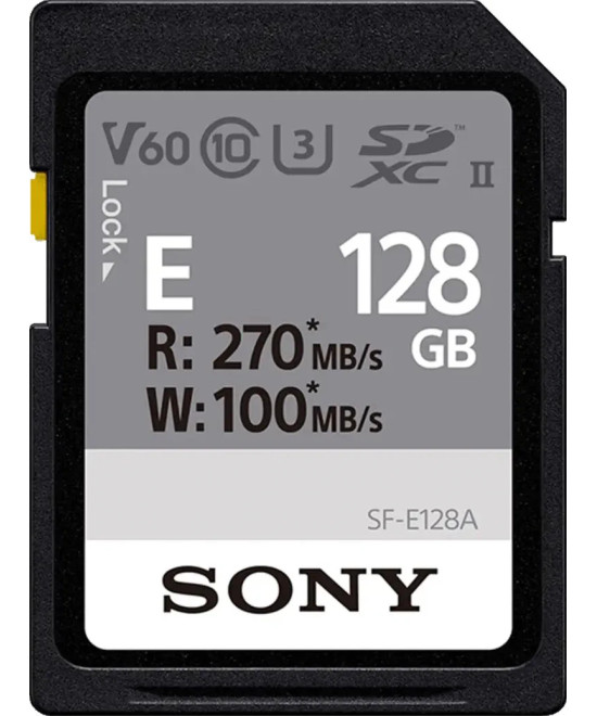 SF-E128A 128 GB SDXC Classe 10