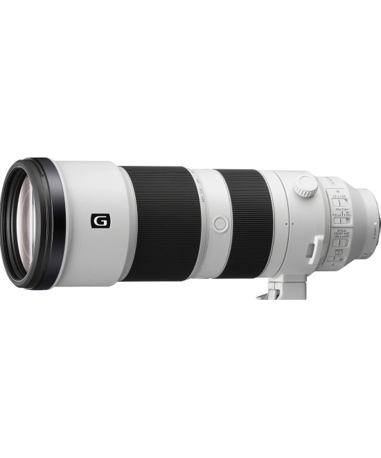 FE 200-600mm f/5.6-6.3 G OSS