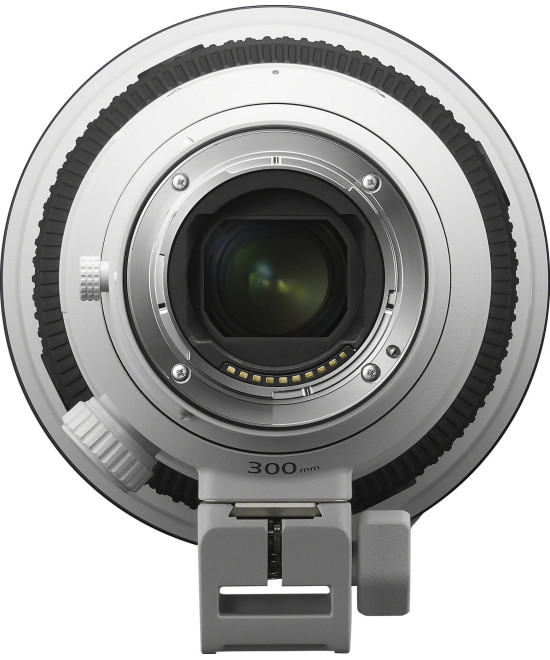 FE 300mm f/2.8 GM OSS