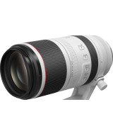 RF 100-500mm f/4.5-7.1 L IS USM