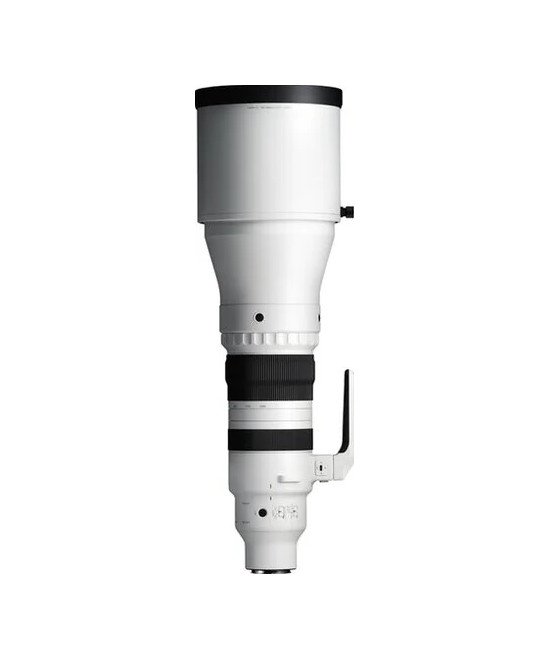 300-600mm f/4 DG OS Sports Sony E-Mount