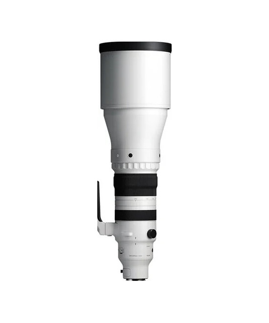 300-600mm f/4 DG OS Sports Sony E-Mount