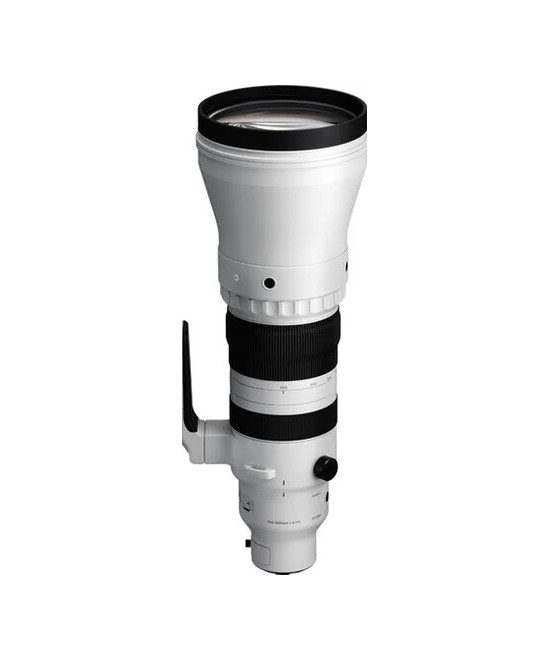 300-600mm f/4 DG OS Sports Sony E-Mount