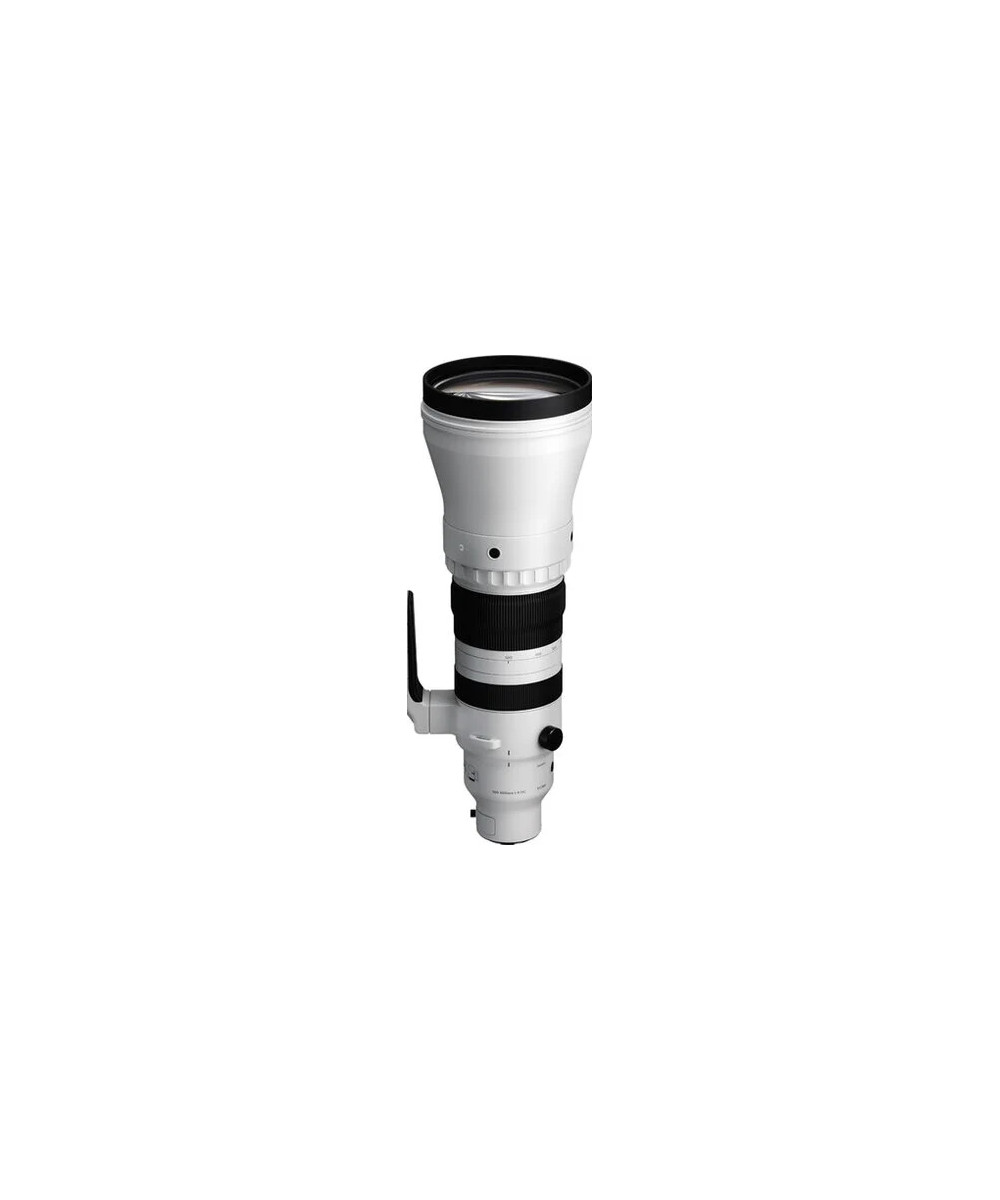 300-600mm f/4 DG OS Sports Sony E-Mount