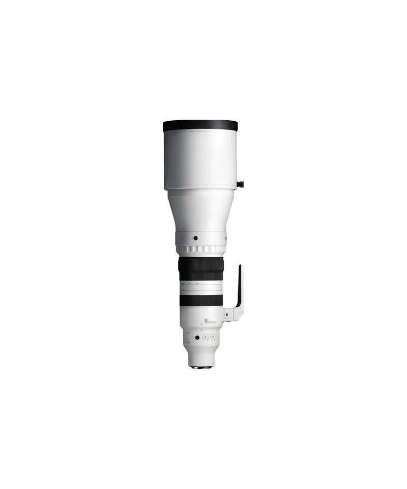 300-600mm f/4 DG OS Sports L-Mount