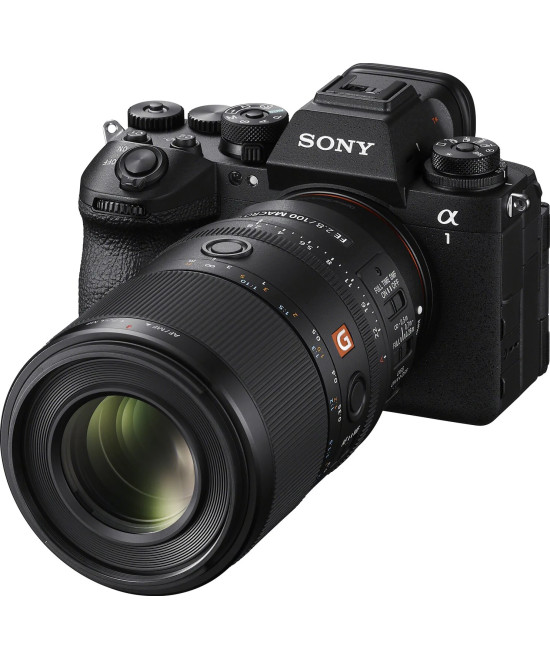 FE 100mm f/2.8 Macro G Master