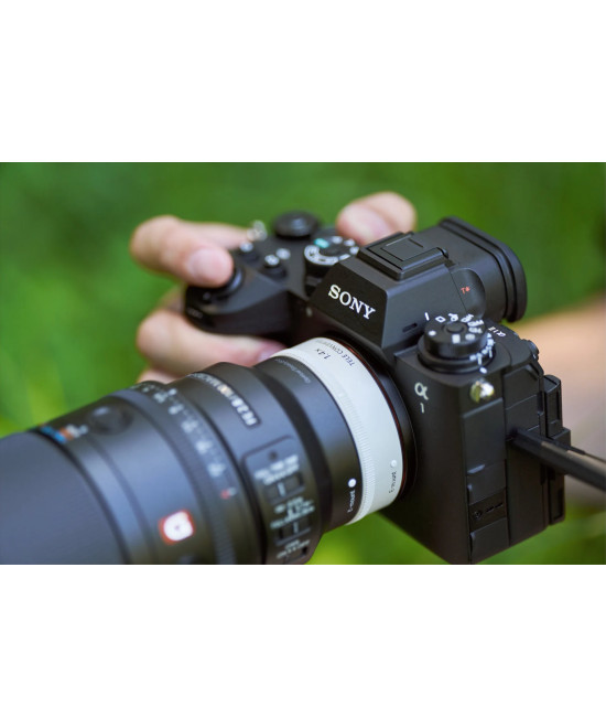 FE 100mm f/2.8 Macro G Master