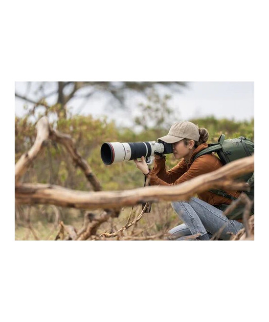 FE 100-400mm f/4.5 G Master