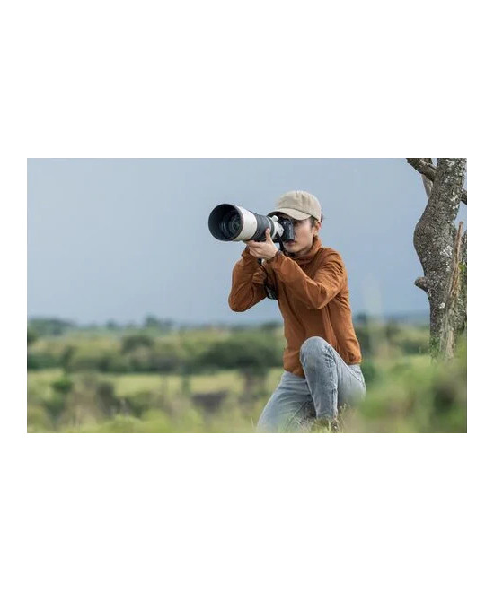 FE 100-400mm f/4.5 G Master