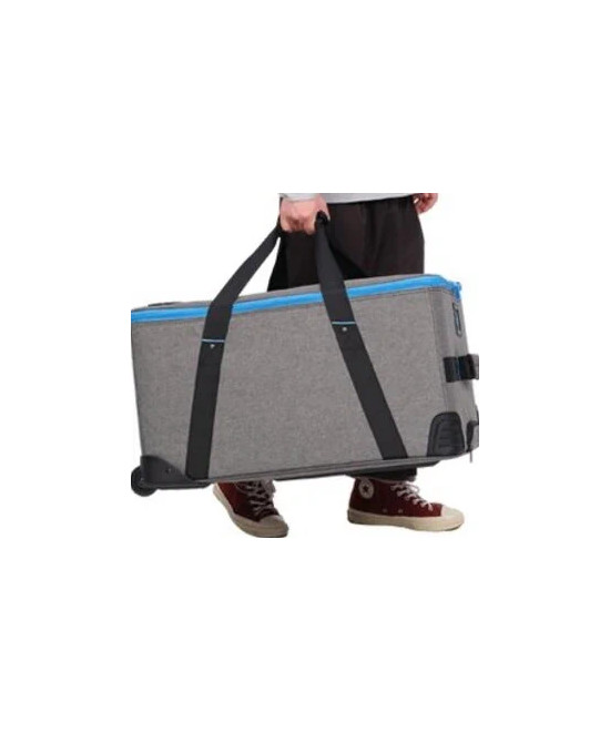 Trolley per 2 luci FC-500B
