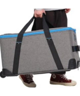 Trolley per 2 luci FC-500B