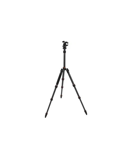 Compact Traveler No. 1 in Carbonio