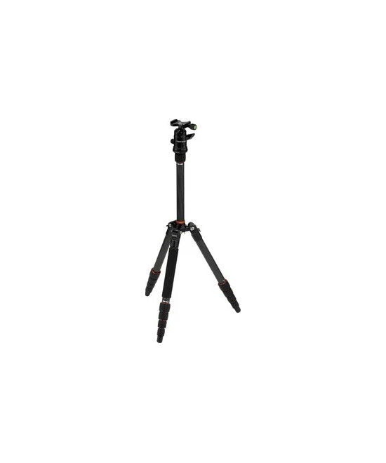 Compact Traveler No. 1 in Carbonio
