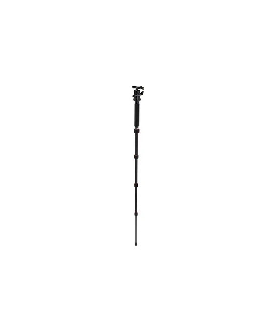 Compact Traveler No. 1 in Carbonio