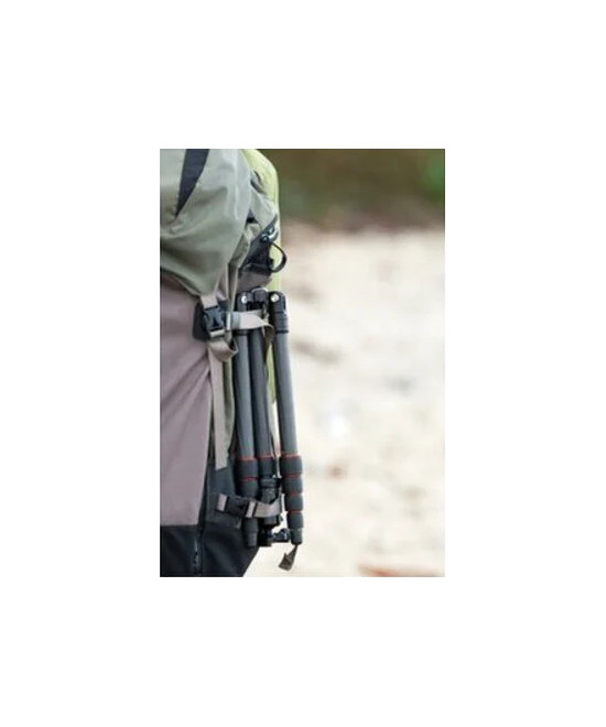 Compact Traveler No. 1 in Carbonio