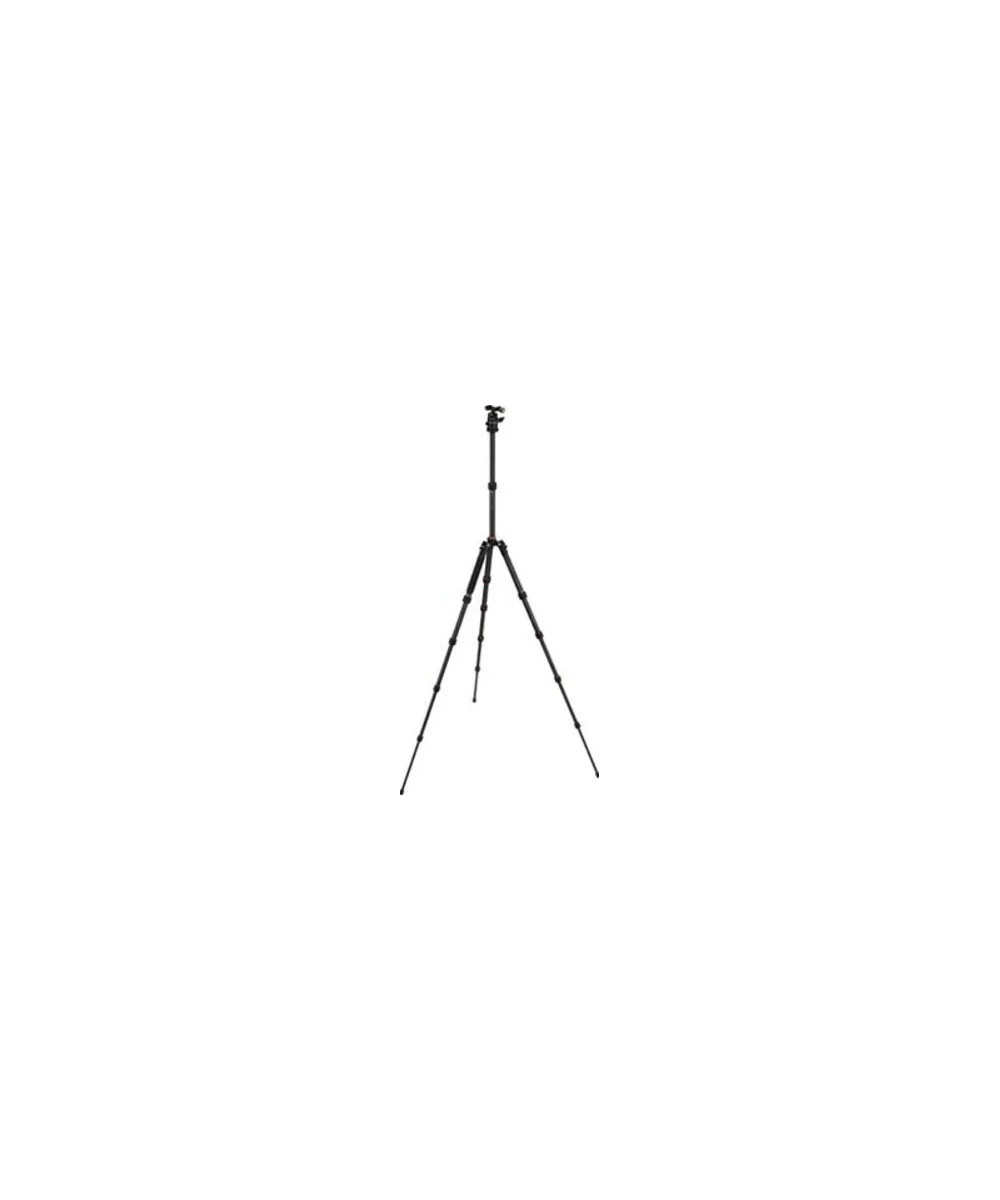 Compact Traveler No. 1 in Carbonio