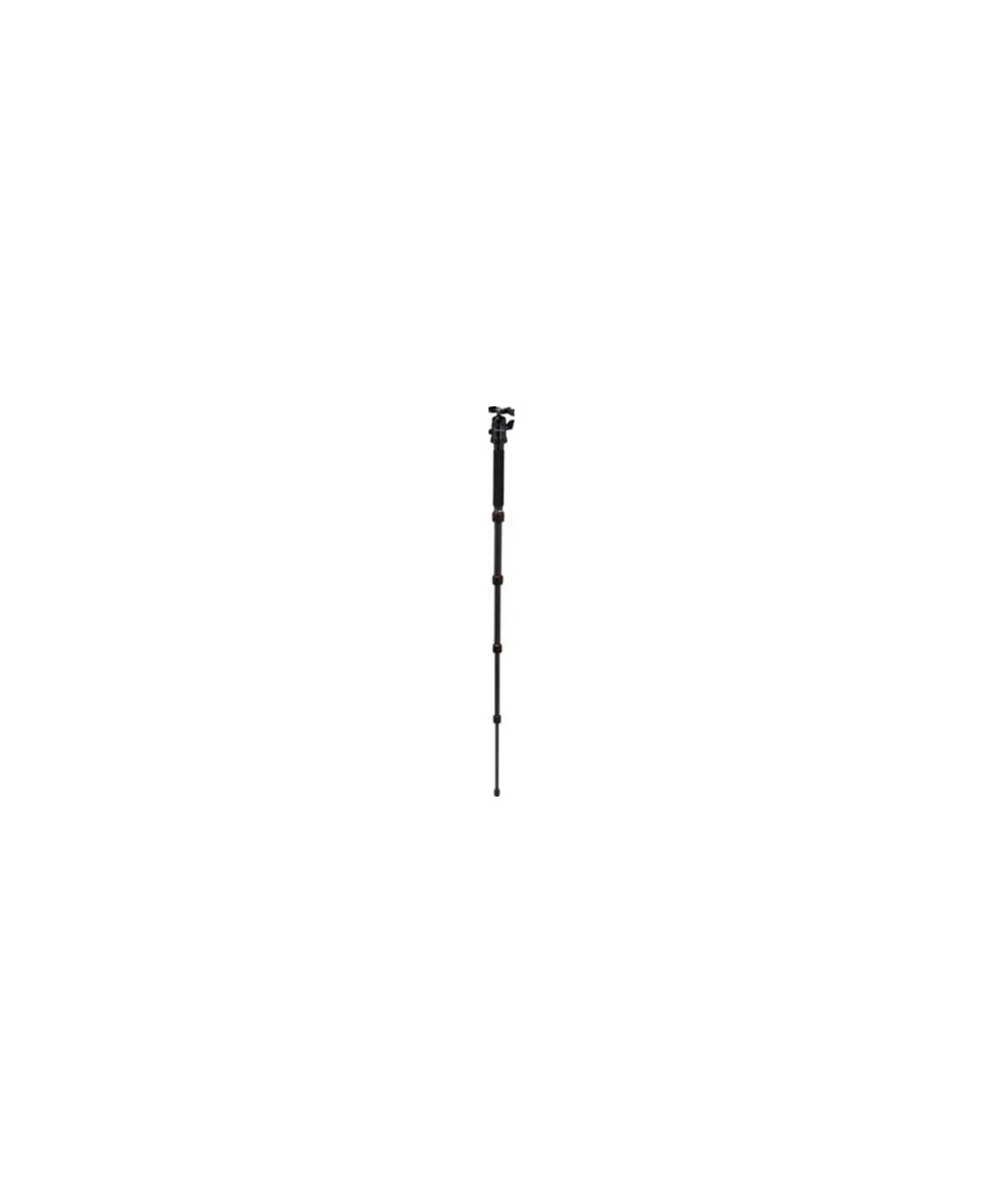 Compact Traveler No. 1 in Carbonio