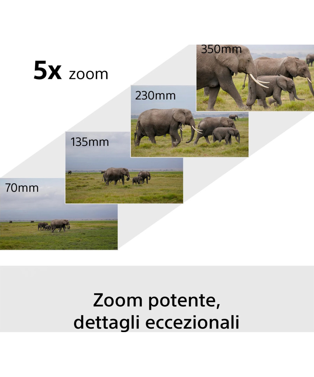 Alpha 6700 + SEL-P 16-50mm PZ OSS II + 70-350 G