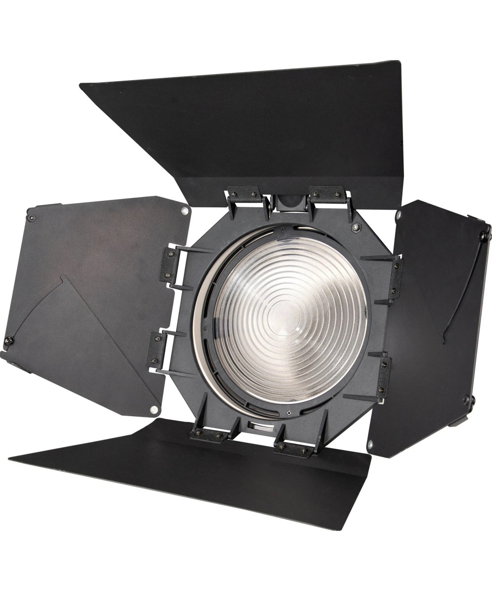 FL-20G Lente Fresnel con alette, attacco Bowens