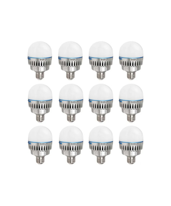 Kit Pavo Bulb 10C RGBWW 12 Pezzi + Accessori