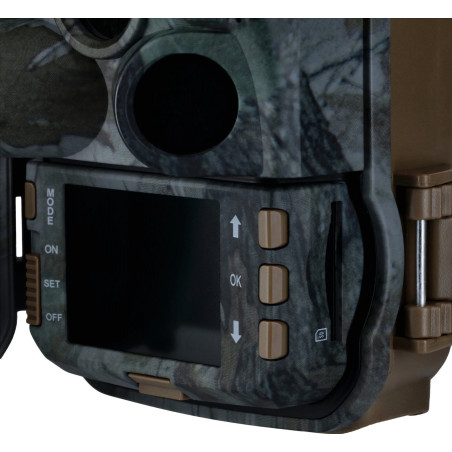 D61T1AW Mimetico
