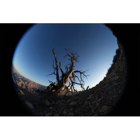 FE 8-14mm f/3.5 Fisheye G (Sony E)