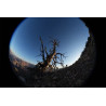 FE 8-14mm f/3.5 Fisheye G (Sony E)