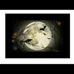 GODOX AK-S02 SLIDE SET 2 PER AK-R21