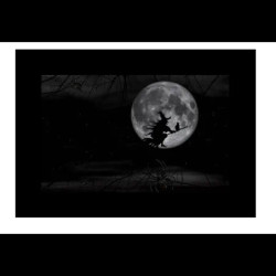 GODOX AK-S02 SLIDE SET 2 PER AK-R21