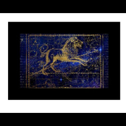 GODOX AK-S04 SLIDE SET 4 PER AK-R21